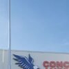 American Elite Telescoping Flagpole